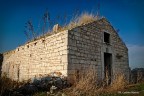 Casale nei boschi di Ruvo di Puglia Casale nei boschi di Ruvo di Puglia
