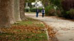 Autumn Autumn