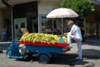venditore d'uva venditore d'uva