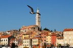 Rovigno d'Istria