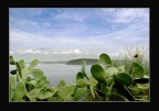 Ischia,,Panorama Ischia,,Panorama
