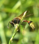 Un p� di ginnastica
