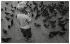 bimbo e piccioni bimbo e piccioni