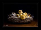 E' tempo di funghi E' tempo di funghi
