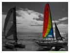 Voglia di mare Voglia di mare