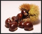 8 castagne