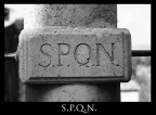 S.P.Q.N.