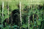 quel copione di monet quel copione di monet