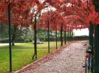 Autunno in città Autunno in città