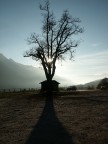 Domenica d'autunno Domenica d'autunno