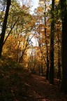 Autunno in Frick Park Autunno in Frick Park