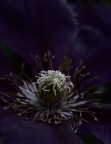 L'Eterna Lotta Fra Luce E Buio L'Eterna Lotta Fra Luce E Buio