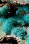 Aurichalcite Aurichalcite