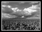 ...EARTH AND SKY... ...EARTH AND SKY...
