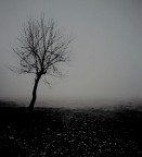 L'Inverno Del Nostro Scontento