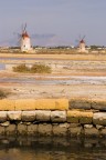 saline2 saline2