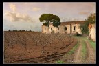Il mio autunno Il mio autunno