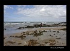 MARE BRETAGNA MARE BRETAGNA