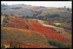 Colli Tortonesi Colli Tortonesi