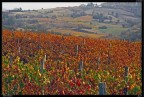 Colli Tortonesi 2 Colli Tortonesi 2