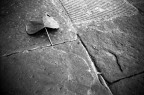 � difficile trovare una foglia per terra in una citt� medievale. Non ci avevo mai fatto caso. Ricoh 500rf, scansione da negativo ilford hp5+