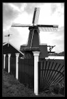 il mulino sul fiume Zaan il mulino sul fiume Zaan