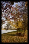 Parco di S.Lorenzo, Pegognaga (MN)
Autunno 2007

Commenti e critiche sempre ben accetti :)