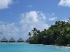 MALDIVE MALDIVE