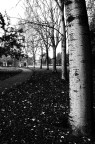 parco iris padova.. parco iris padova..