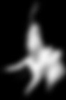 Luce di passione Luce di passione