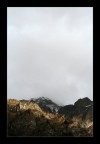 From Autumn, to Winter, to the Unknown From Autumn, to Winter, to the Unknown