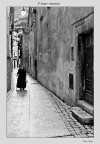 Il lungo cammino Il lungo cammino