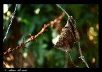 L'autunno nel cuore L'autunno nel cuore