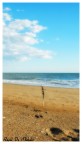 Spiaggia Spiaggia
