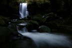 torrente torrente
