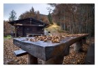Autunno...ritorno al silenzio Autunno...ritorno al silenzio