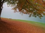 Colori nel silenzio Colori nel silenzio