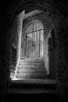 Luce Luce