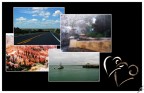 Reportage Dagli Stati Uniti Reportage Dagli Stati Uniti