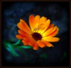 i colori della luce i colori della luce