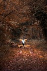 Correre nel bosco d'autunno Correre nel bosco d'autunno