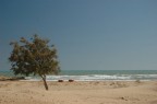 sicilia sicilia