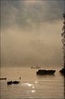 Fotografia realizzata sul Lago Maggiore 
Obiettivo: Canon EF 100-400mm f/4.5-5.6L IS 
� Alberto Zavattiero