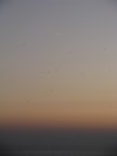 tramonto tramonto