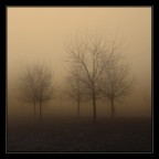 senza titolo senza titolo