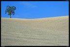Il Solitario Il Solitario