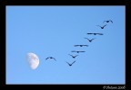 Verso la luna Verso la luna