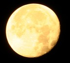 Test zoom Sigma 70-300 Apo Macro super II
300 mm. - 0,8 sec - f=32