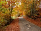 Altopiano di Rascino Altopiano di Rascino