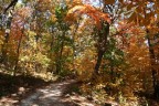 Falls in Pittsburgh - Frick Park Falls in Pittsburgh - Frick Park